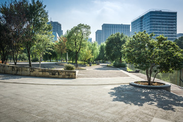 city park with modern building background