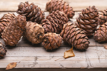 Set of cones of Siberian cedar pine on  wooden surface. Close-up, studio shot.