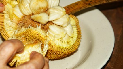 Fruits of Sabah Borneo called Buah Tarap, Timadang or Marang. Close up. Selected focus.