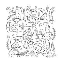 Toucans, paradise tropical bird. Coloring page for your design