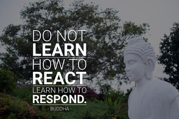 Do not learn how to react learn how to respond - buddha - obrazy, fototapety, plakaty