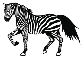 Real zebra character design vector eps format