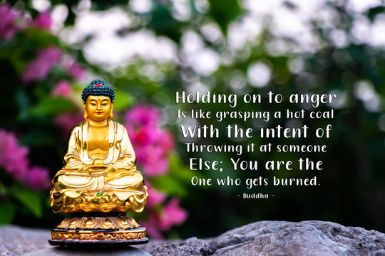 Holding On To Anger Is Like Grasping A Hot Coal With The Intent Of Throwing It At Someone Else; You Are The One Who Gets Burned - Buddha