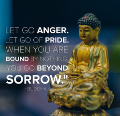 Let go anger. Let go of pride.When you are bound by nothing, you go beyond sorrow - buddha