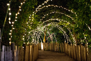 Lighting line hang on to the tree decor on to cave concept on the wood terrace walking way with darken around.