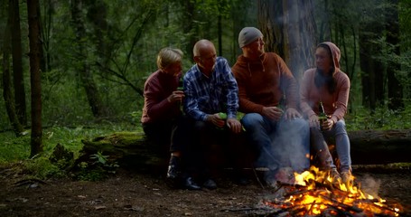 two happy family pairs, elderly and adult, are resting on nature together, drinking beer in forest