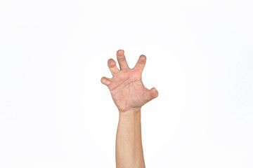 Asian male's hand opens palm and post like a animal claw in studio light isolated white background with clipping path.