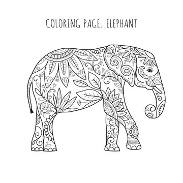Elephant ornate, coloring page for your design