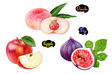Apple fig peach set fruit watercolor isolated on white background
