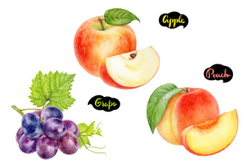 Apple peach grape set fruit watercolor isolated on white background