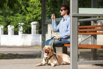 Blind young man with guide dog waiting for bus outdoors
