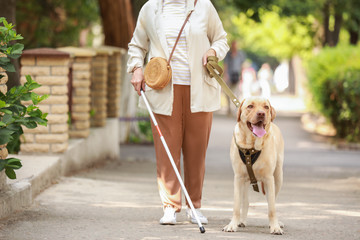 Blind mature woman with guide dog outdoors