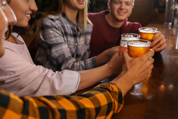 Friends drinking fresh beer in pub