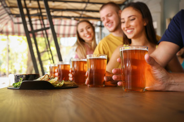 Friends drinking fresh beer in pub