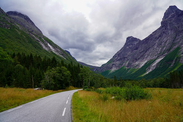Alesund (Norway) Norwegische Berglandschaft mit Strasse , Straße in Norwegen , Berge , Beauty of Norway, tolle Landschaft mit Wiese bei der Straße mit Felsen in den Alpen, Bergen im Sommer, Wald 