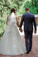 The bride and groom stand back, hold hands. 