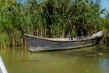 boat on the lake shore on the green background