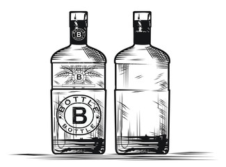 Rum boottles vector hand drawn eps format