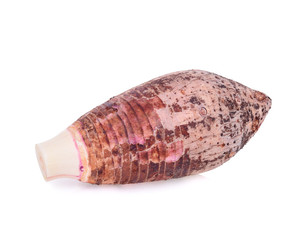 Taro isolated on white background