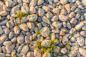 Rocas blancas