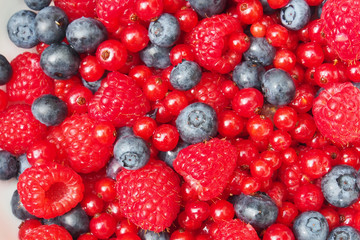 Beeren-Mischung: Blaubeeren, Himbeeren, Johannisbeeren 