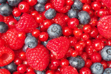 Beeren-Mischung: Blaubeeren, Himbeeren, Johannisbeeren 