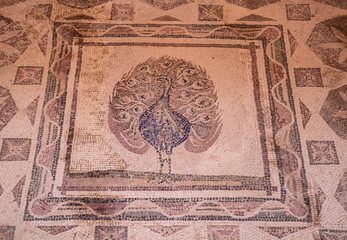 old antique mosaic in paphos