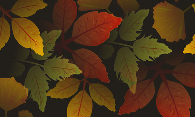 Floral Abstract Background Pattern