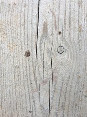 the texture of aged wood