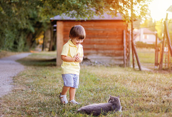 Little boy playing with grey cat in villadge outdoors at warm summer day. Summer lifestyle.