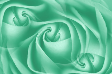 "Neo mint" toned rose texture - 2020 color