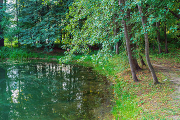 Picturesque lake among green trees. Forest pond surrounded by trees.