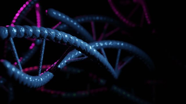 3D rendered loopable animation of rotating DNA molecule on black background. Biology, biotechnology, chemistry, science, medicine, cosmetics, motion background, medical animation.4K Seamless Loop.