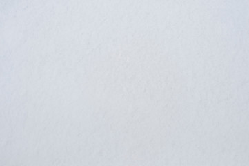 White background with bluish-gray tint of soft snow surface