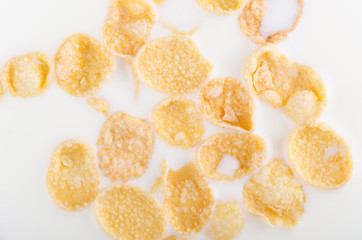 Delicious corn flakes are swimming in the warm milk, top view