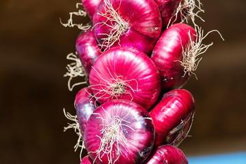 Bunches of red onions hanging on a rope for sale in the food market.