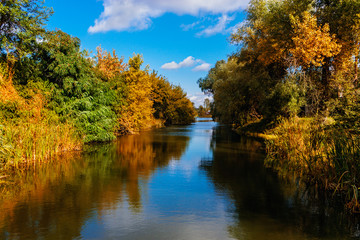 Fototapeta na wymiar small river in the countryside on a autumn day