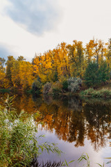 small river in the countryside on a autumn day