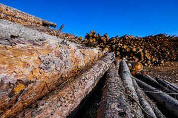 Harnosand, Sweden A stock yard of Swedish timber.