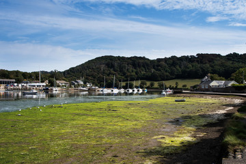 View of the river in Millbrook, Torpoint, England, Europe