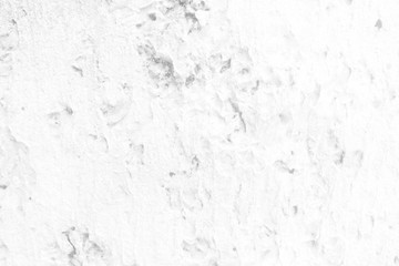 White Grunge Stucco Wall Texture Background.