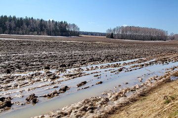 the snow melted