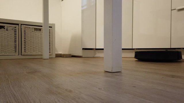 Vacuum Bin Reveals Dust and Dirt from House 4K