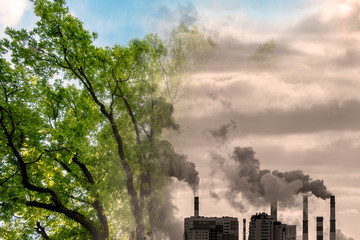 Green Tree in a Park and industrial Pipes of Factory with pollution, conceptual. Concept Picture about Nature Pollution