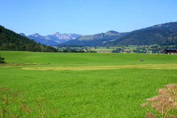 Blick auf die Chiemgauer Alpen bei Reit im Winkel im Landkreis Traunstein in Bayern