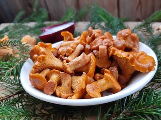 Chanterelle mushrooms pickled or salted. Cooked chanterelle mushrooms. Mushroom appetizer. Edible forest mushrooms.