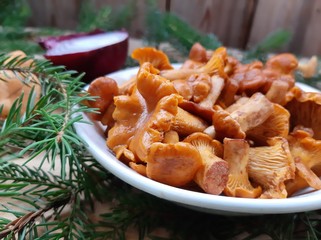 Chanterelle mushrooms pickled or salted. Cooked chanterelle mushrooms. Mushroom appetizer. Edible forest mushrooms.