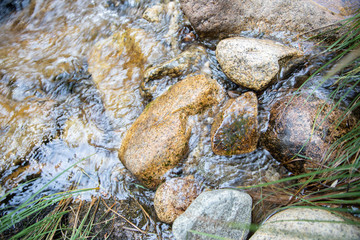 beautiful detail of brilliant rocks in bed of river with transparent water flow and green plants 