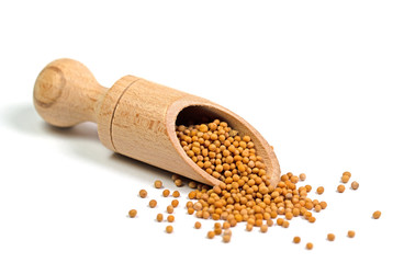 Senfkörner auf einer Gewürzschaufel