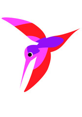 Illustration of a flying colorful Hummingbird or Colibri. Vector illustration. Isolated image on white background. Bird of hummingbirds. Vector drawing for logo or Illustration.